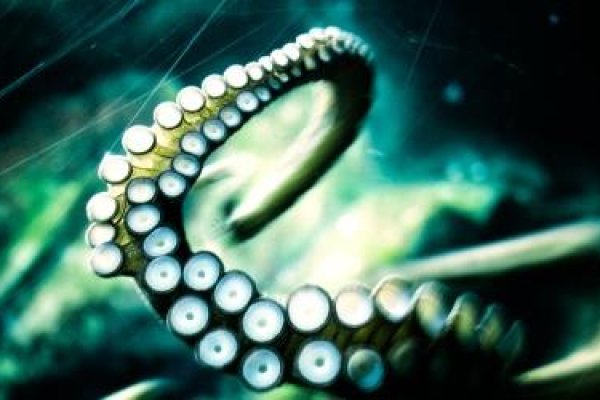 Kraken зеркало стор