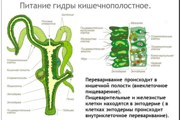 Kraken площадка