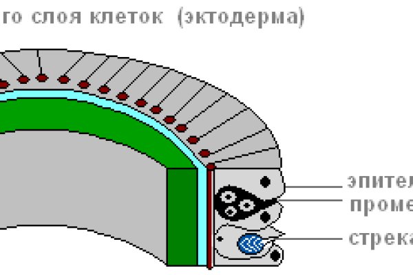 Кракен впн