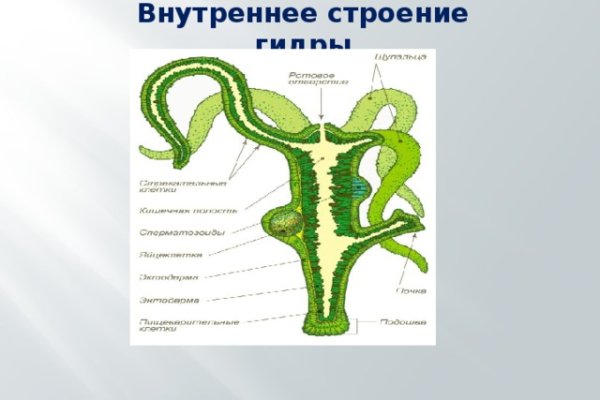 Кракен ссылка тор kr2web in