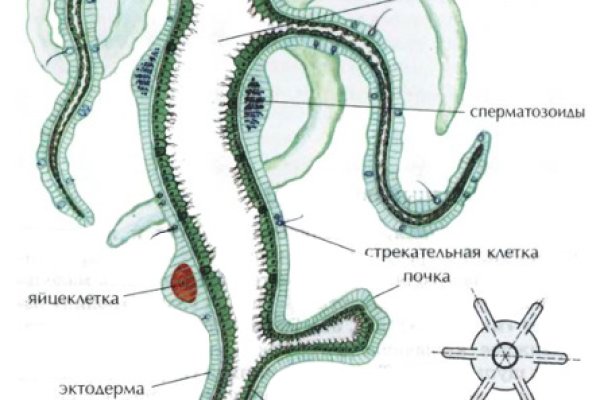 Kra43.cc Вход на сайт главная страница