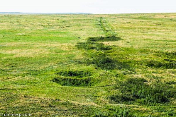 Зеркала сайта кракен tor