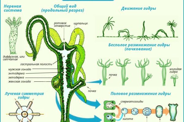 Кракен сайт kr2web in
