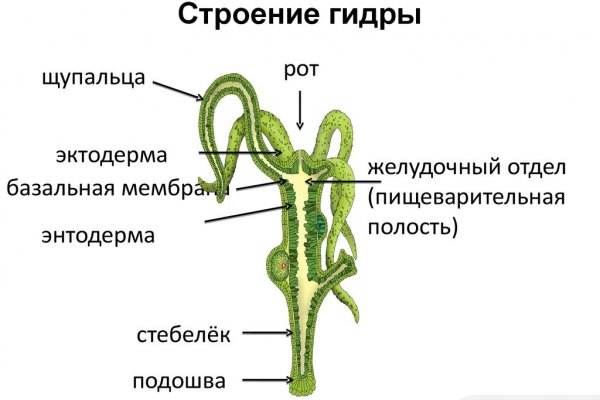 Кракен сайт 2krnk