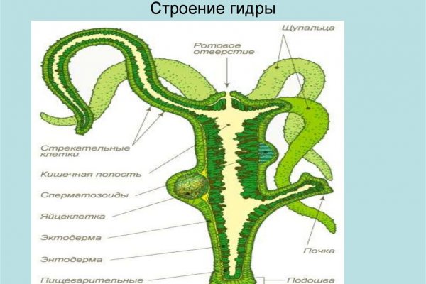 Кракен ссылка onion