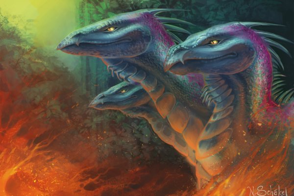 Kraken 25 at