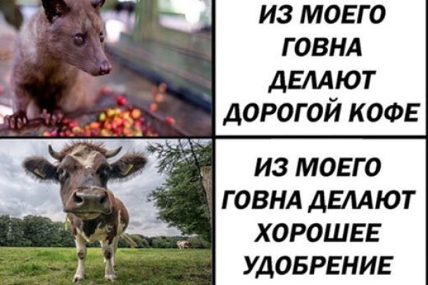 Кракен сайт kr2web in