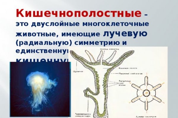 Что такое кракен маркетплейс в россии