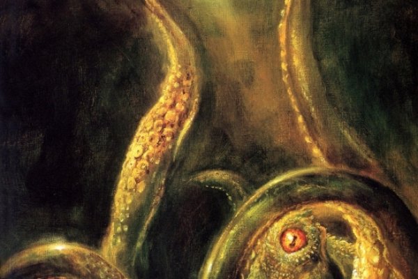 Kraken 18
